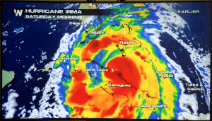 FOMOstream - Hurricane Irma